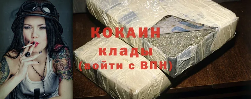 COCAIN Fish Scale  где можно купить   Великий Устюг 